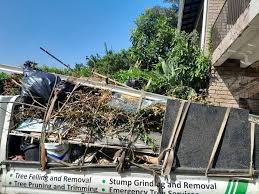 Best Attic Cleanout  in Crowley, TX